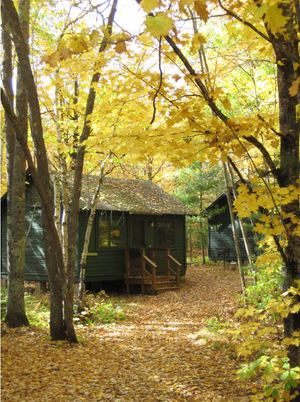 Image of cabin in fall at TLS with leaves on roof and path