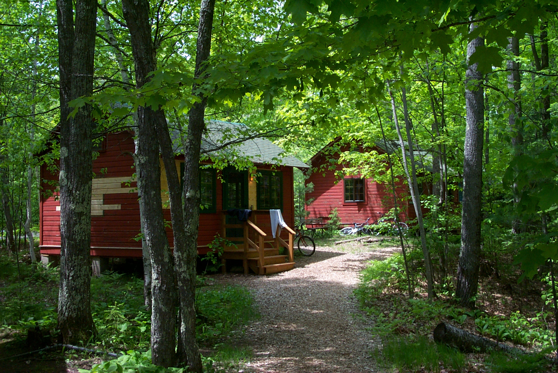 Picture of cabins nestled in woods at TLS