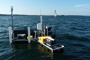 Photo of buoys on lake