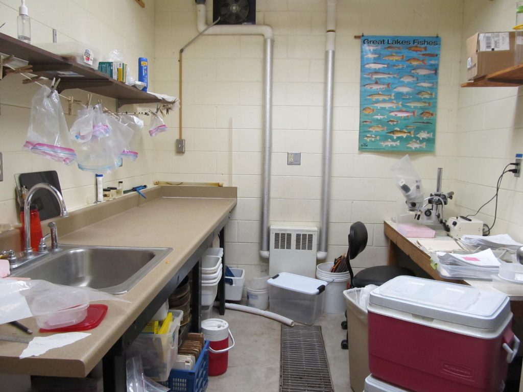 lab space