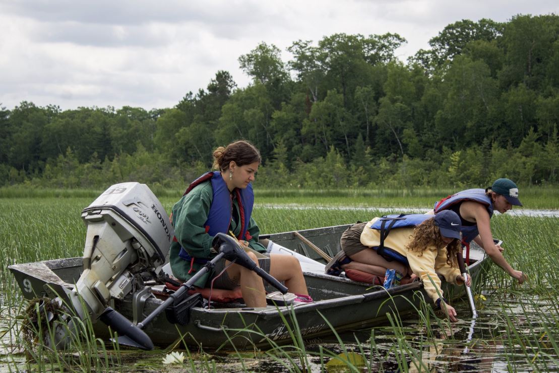 Ally Kundinger, Sagen Quale, and Moira Keith all in a jon boat, leaning over, sampling one of their wild rice plots.