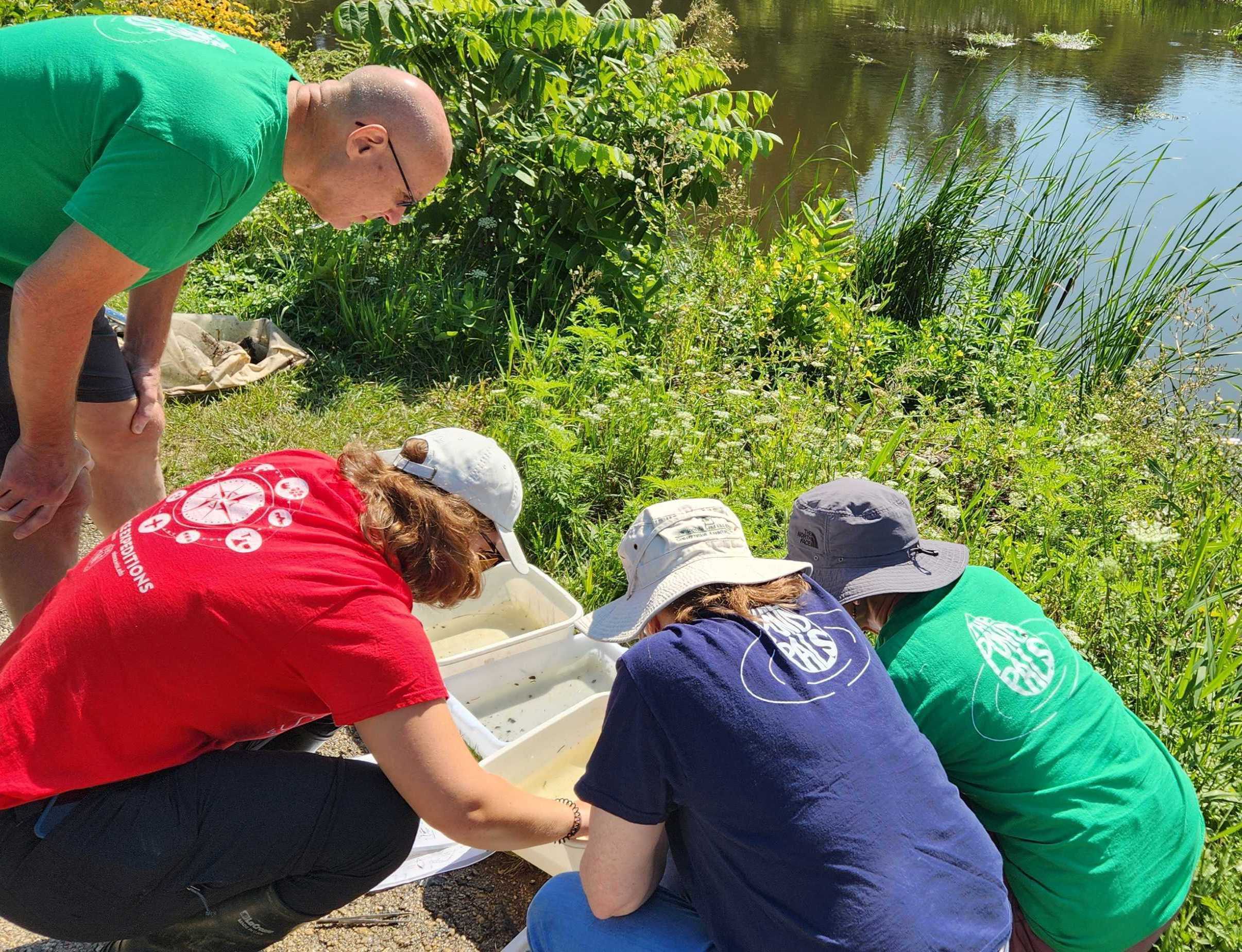 Four people wearing red, green, and blue tshirts are crouched beside of tubs of water on the shore of a pond