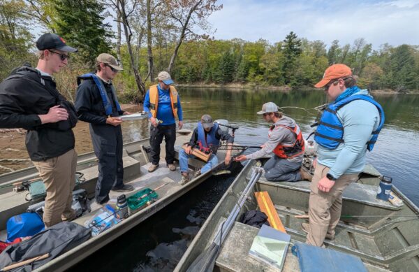 A group of scientists in two boats on a lake are catching a smallmouth bass in a net and recording its information.